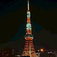 10/25-10/28日本東京藥妝、扭蛋佛系代購！