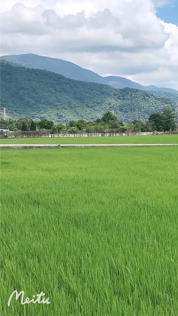 Jenny 好康報報