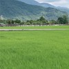 Jenny 好康報報