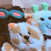 韓團周邊//日韓商品代購✨✨