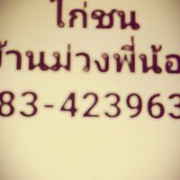 ไก่ชนบ้านม่วง​พี่น้อง​