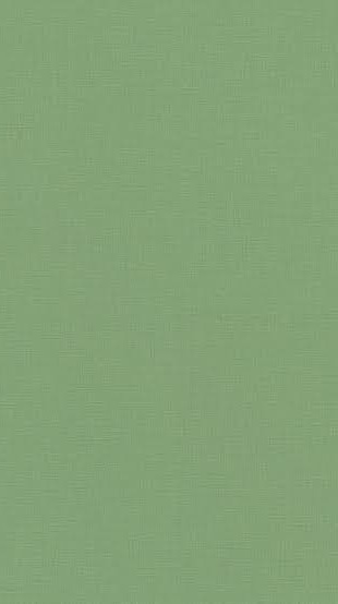 MACHA DAY BY TONNAM