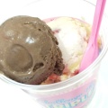 スモールダブルカップ - 実際訪問したユーザーが直接撮影して投稿した銀座アイスクリームサーティワンアイスクリーム ニットーモール店の写真のメニュー情報