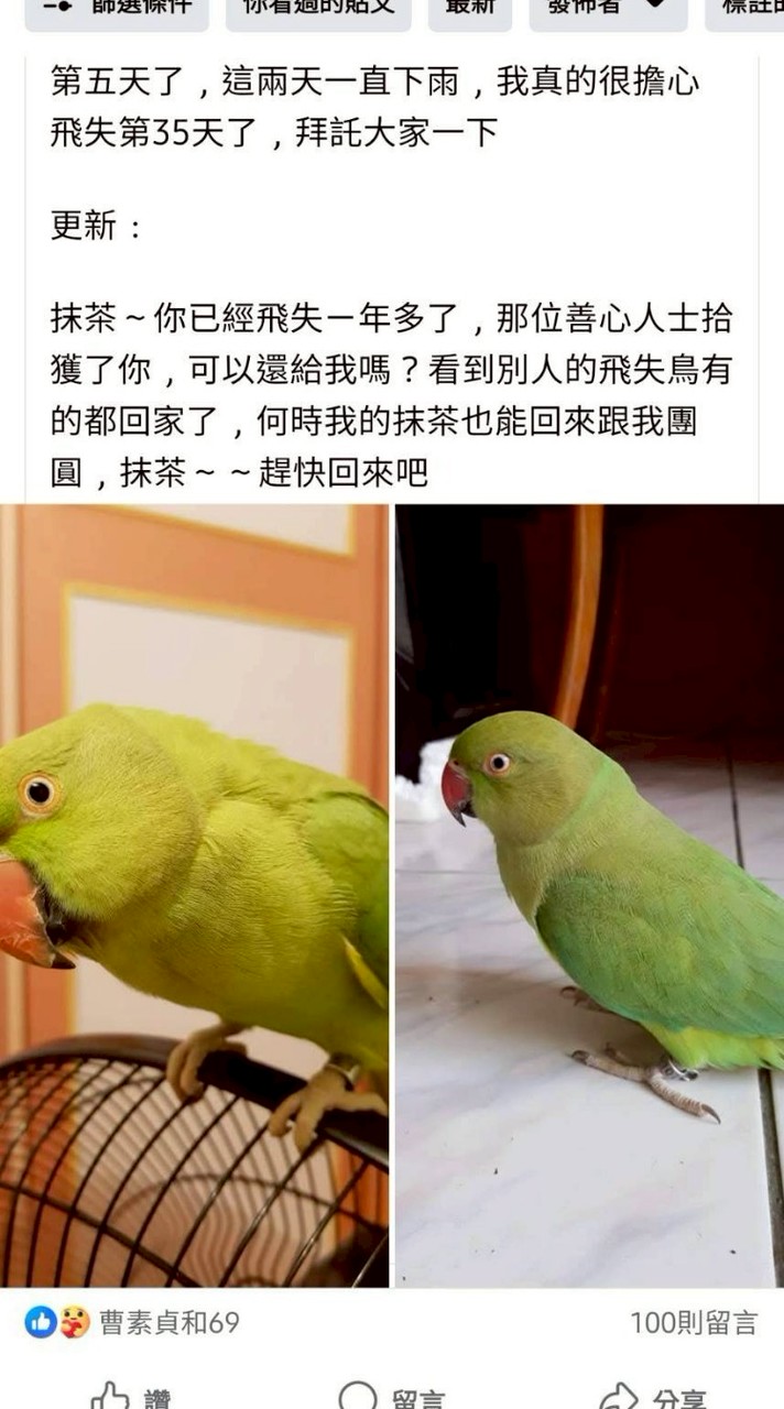 飛鸚之家保護救援小隊🐦