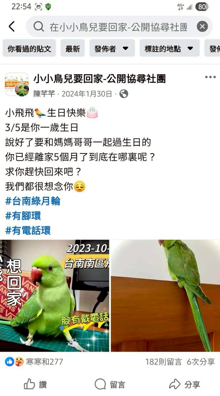 飛鸚之家保護救援小隊🐦