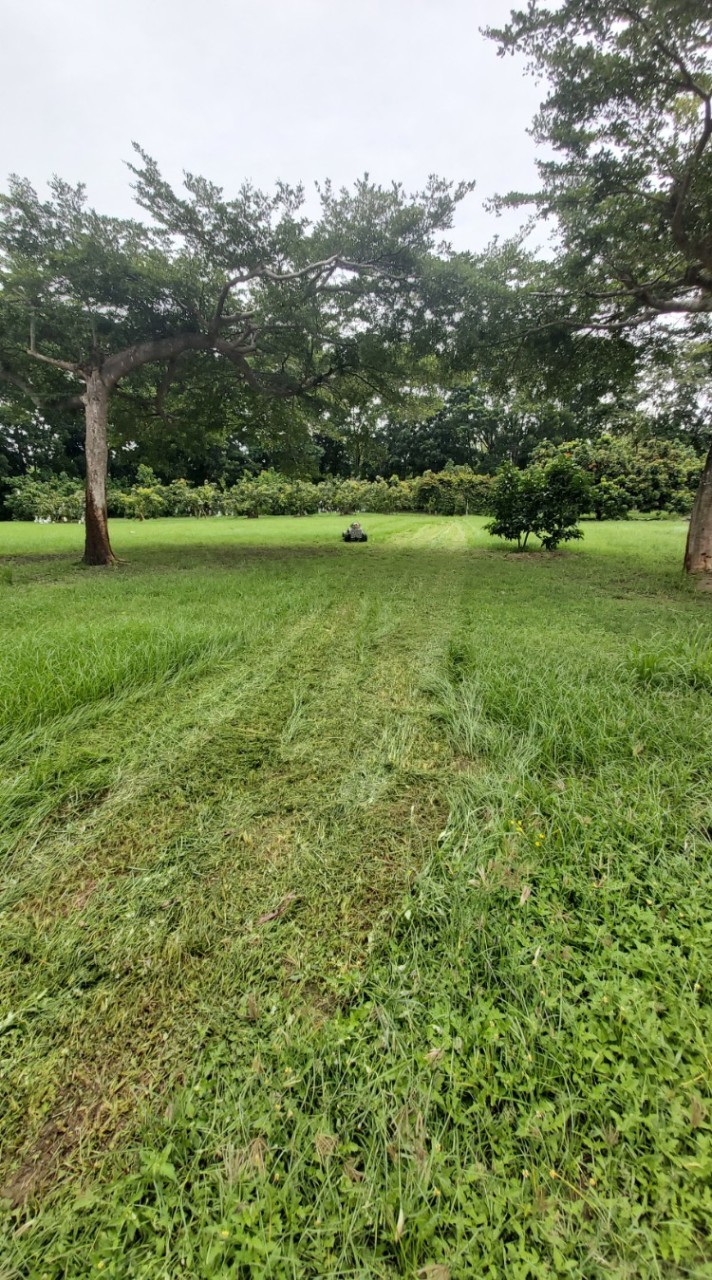 （嘉義）割草、除草支援互助區
