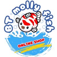 Molly Fish TH (แบ่งปันความรู้ และซื้อขาย)