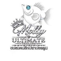 Molly Fish TH (แบ่งปันความรู้ และซื้อขาย)