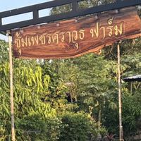 เพชรศราวุธ ควายไทยไก่ชน ฟาร์ม