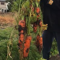 オーガニック愛好会※佐賀※