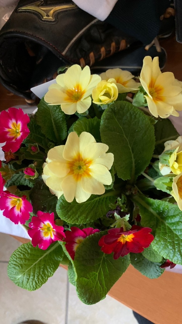 読書が趣味☺︎