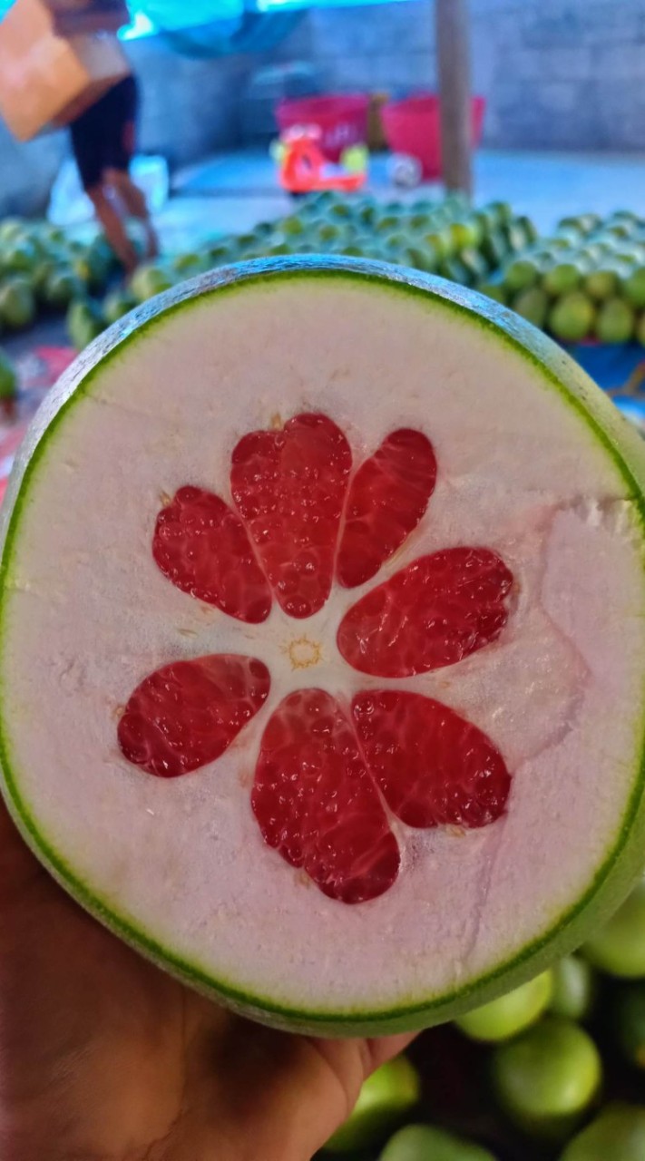 ส้มโอพี่วิ