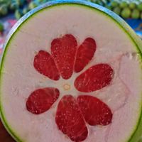 ส้มโอพี่วิ