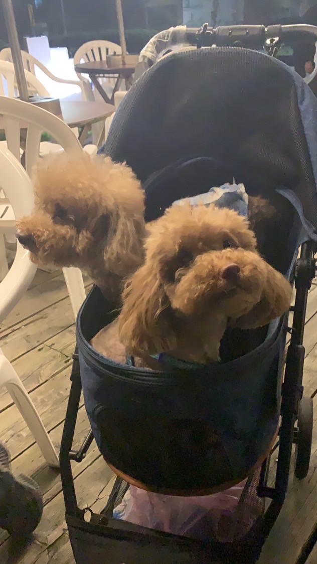 為你守侯🤪