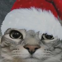荒野おぷちゃ！！！！！！！！！！！