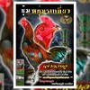 ซุ้มหนุ่มรถเกี่ยว (อุดร) พม่าสายเลือดเงินล้าน