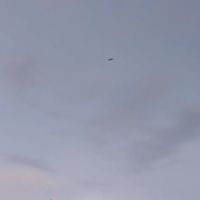 發牢騷群