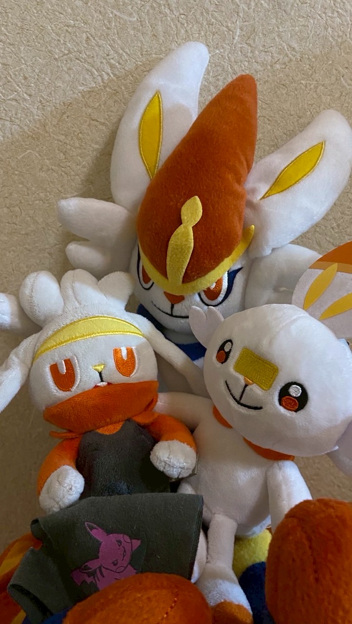 ヒバ族好きな人、集まれー！！