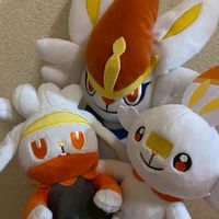 ヒバ族好きな人、集まれー！！