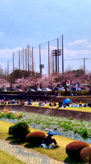 秦野市🌸花見会 OpenChat