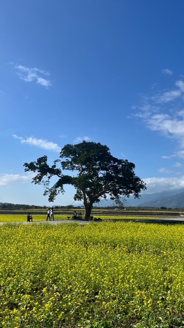 台中 山富旅遊 旅遊新情報