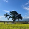 台中 山富旅遊 旅遊新情報