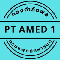 PT AMED 1