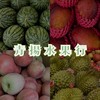 青揚水果行-台南店