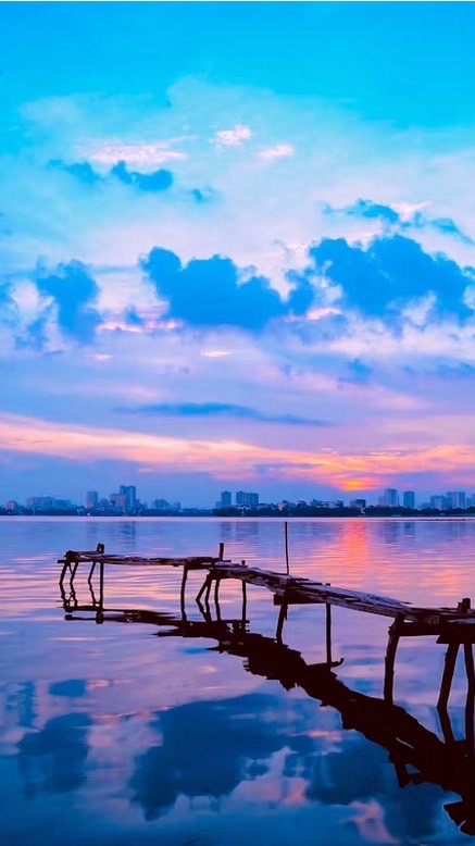 学生ギフテッドの居場所