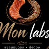Mon Labs