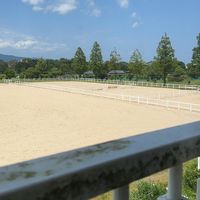 令和7年度　九州ブロック大会　馬術