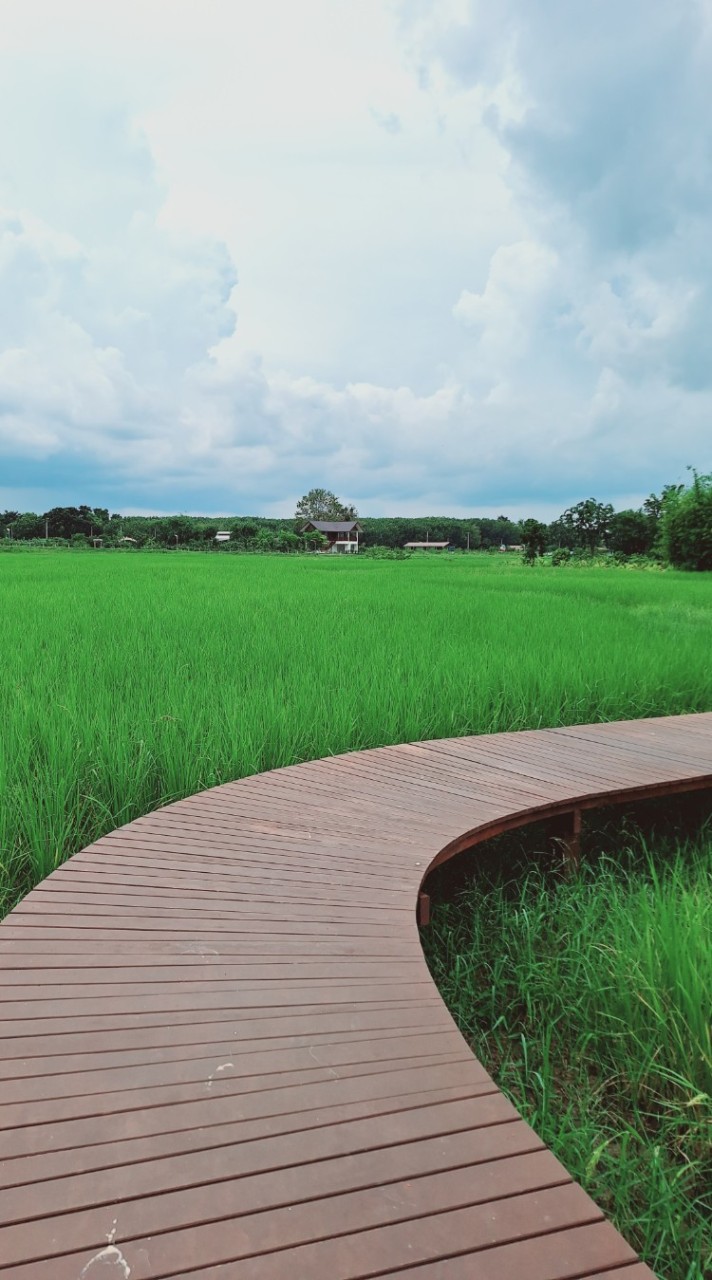 จำหน่าย ปกนิยาย BY MEAN