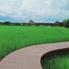จำหน่าย ปกนิยาย BY MEAN