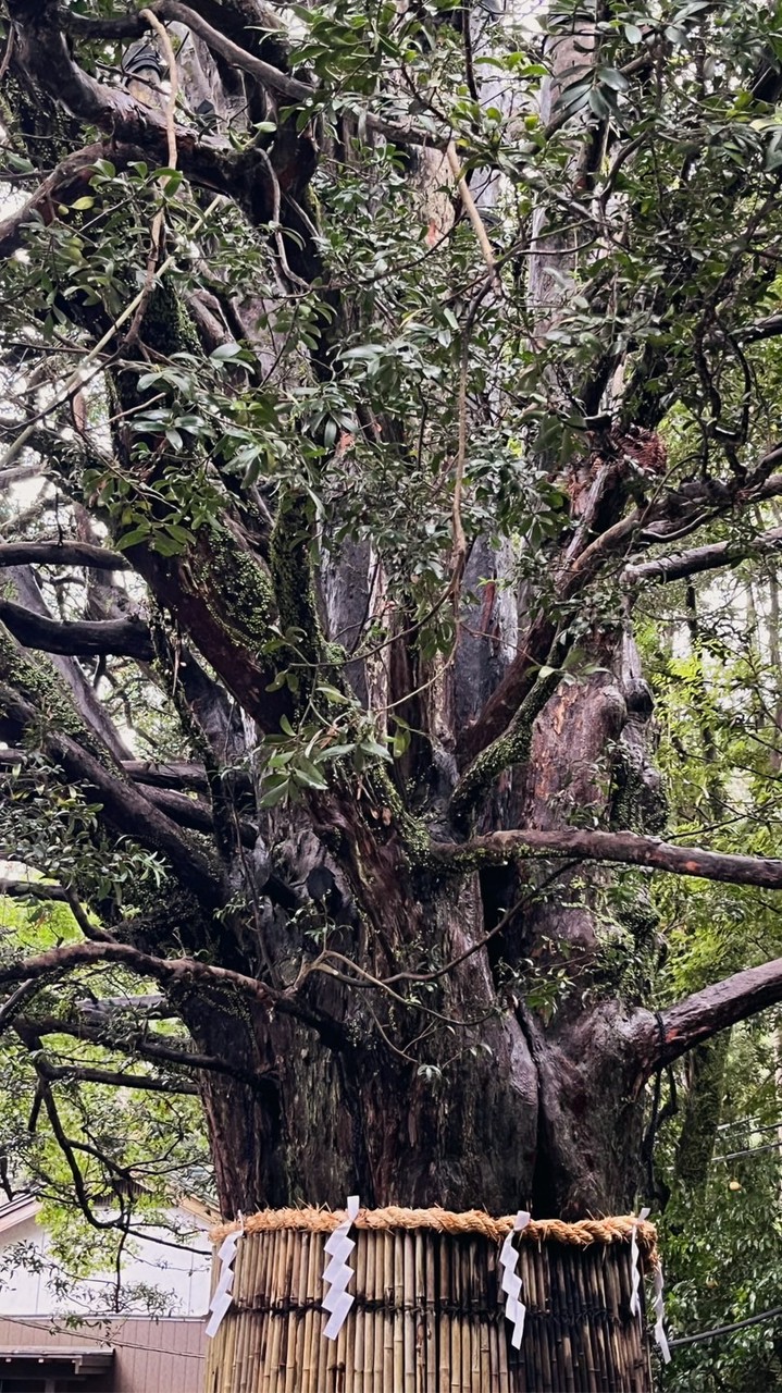 第9回「和ぎの会」出店者さま