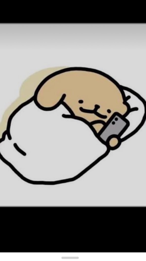 台中全區租房小金毛社群
