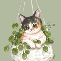 藍貓的商品許願池