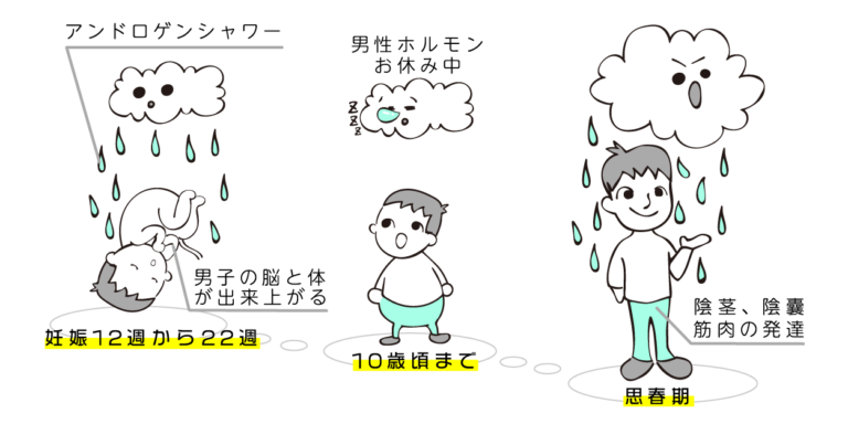 親も意外と知らない 男性ホルモン って 何