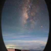 皮克敏交友-LDS