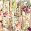 50代からの❥❥❥今日の出来事🌸                   どんな１日でしたか？ღ˘◡˘ற