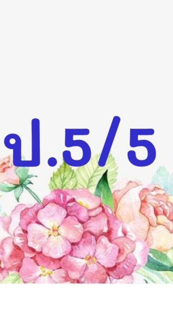 ป.5/5