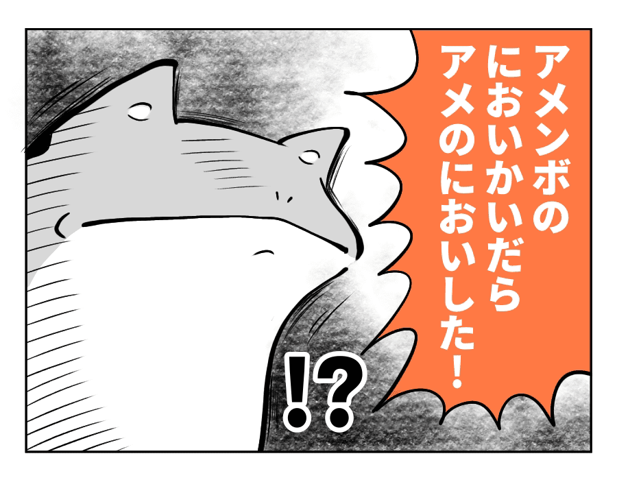 子どもの探究心2 虫好きの息子 アメンボ 名前の由来を知る ママと愉快な子どもたち103話