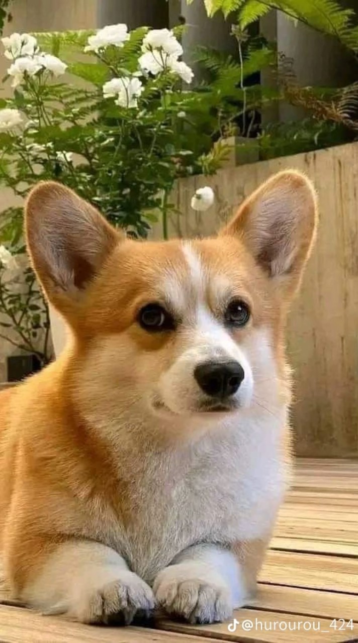 602