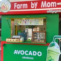 Avocado PTT มหิดล