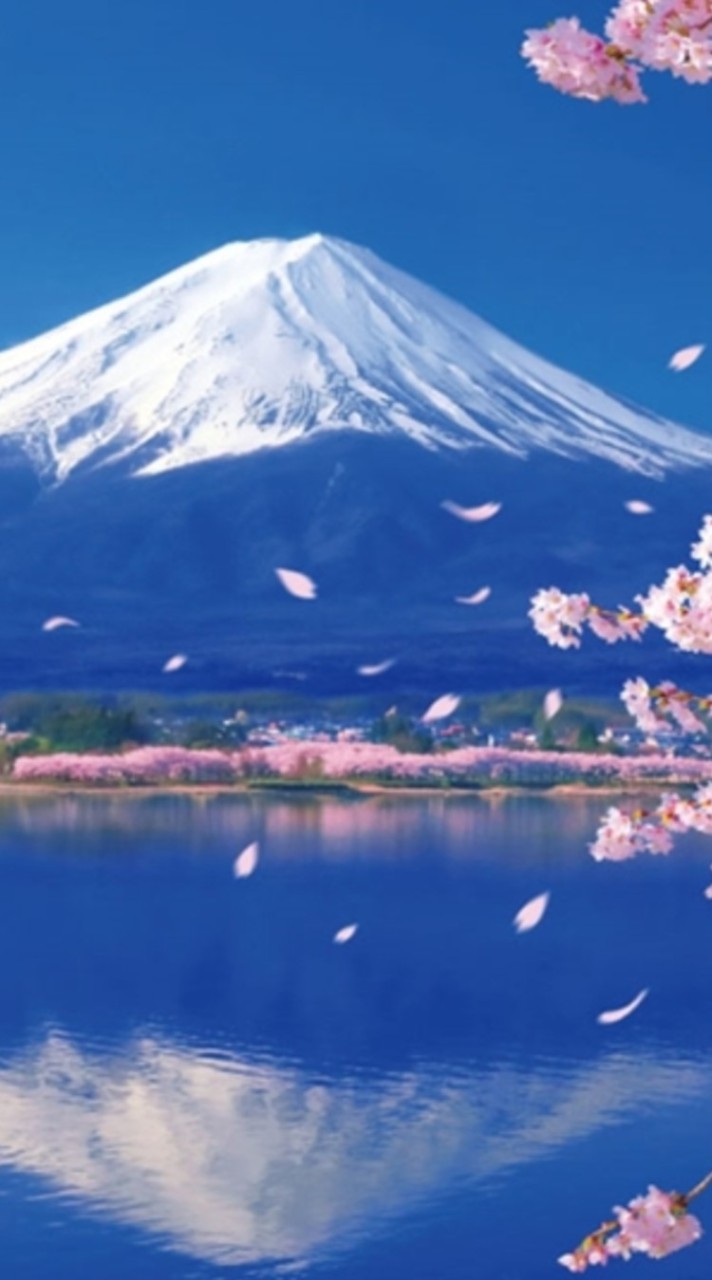 北海道〜九州、沖縄の30代40代50代60代の🌷大人の雑談部屋🌷