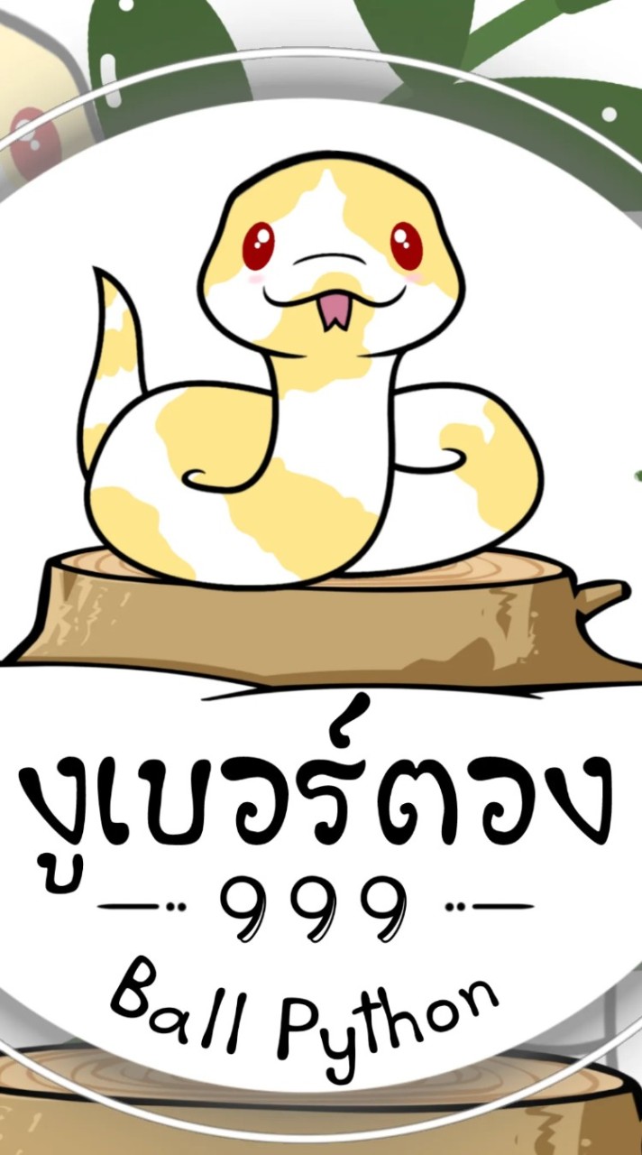 งูเบอร์ตอง