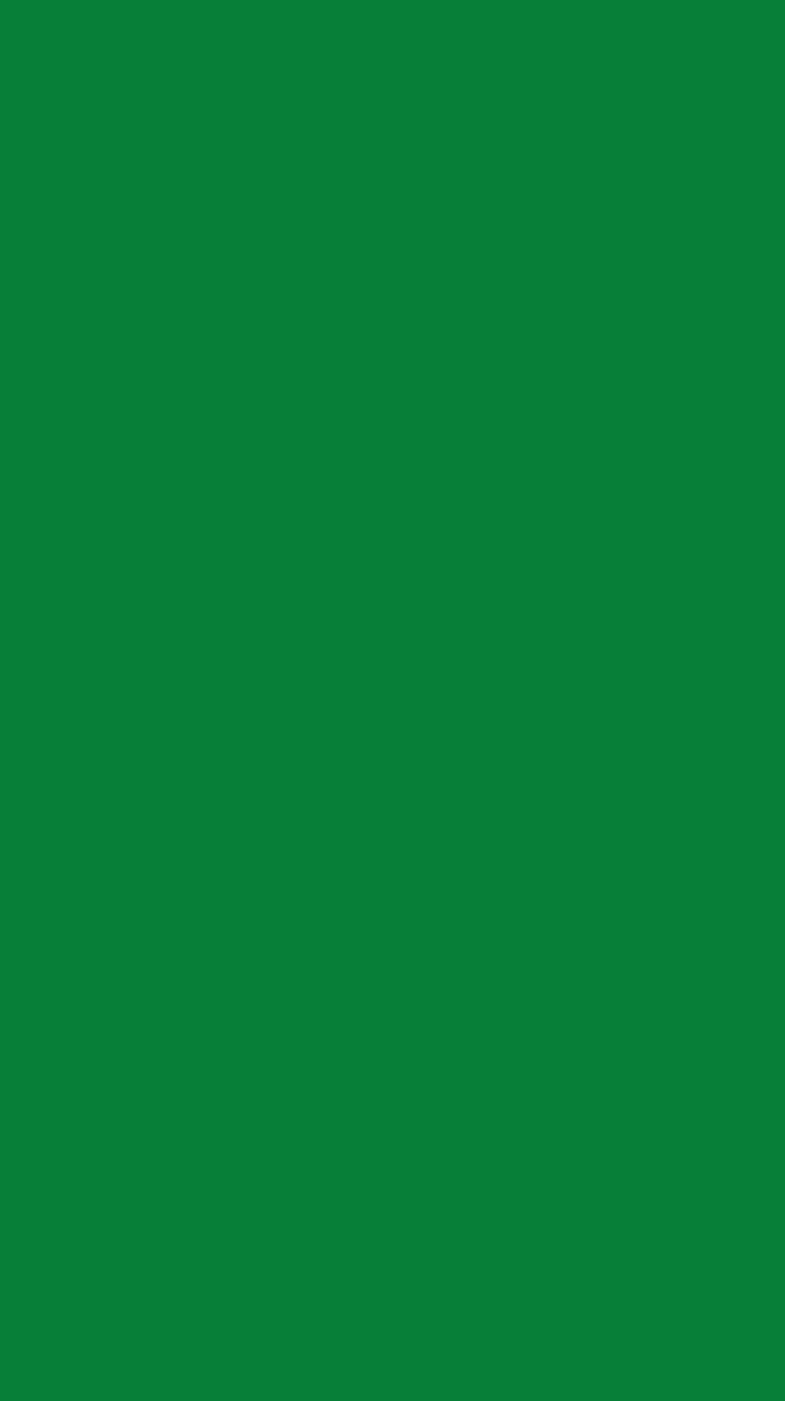 สีเขียว NVC 2025