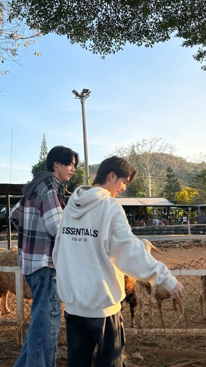 หาคอนเทนท์(บัส)