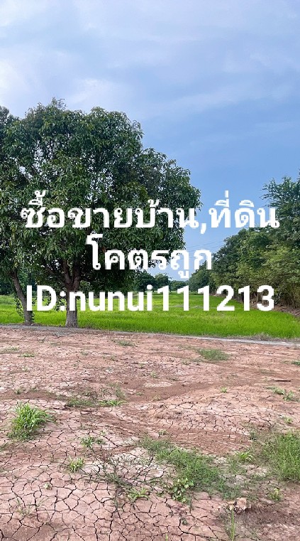 ซื้อขายบ้านที่ดินโคตรถูก🏡