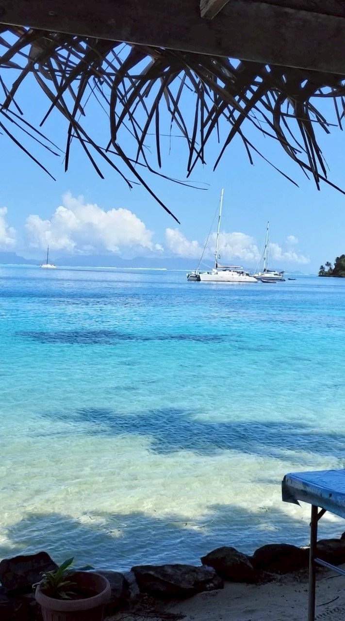 ナクラ乗船決定組