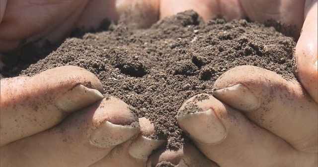 高校球児の聖地・甲子園の土ってやっぱり特別なんだなあ・・・その秘密